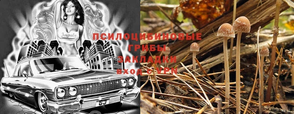 первитин Новодвинск