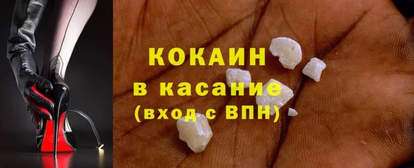индика Нея