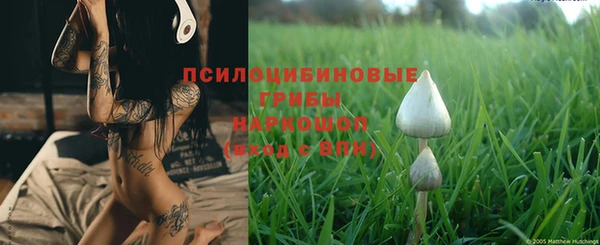 твердый Пионерский